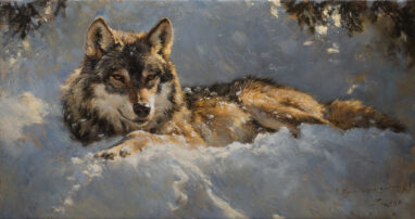Pintura al óleo de un lobo ibérico tumbado en la nieve con la mirada fija de ojos dorados, de Manuel Sosa