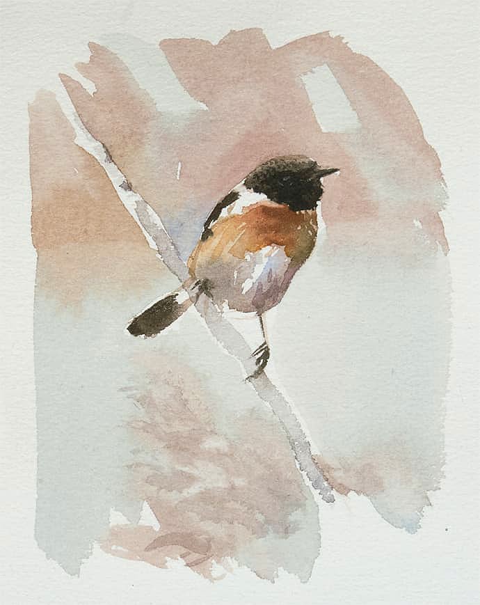 Stonechat painting