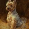 Retrato de un Yorkshire - retratos de perros