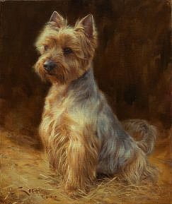 Yorkshire dog painting