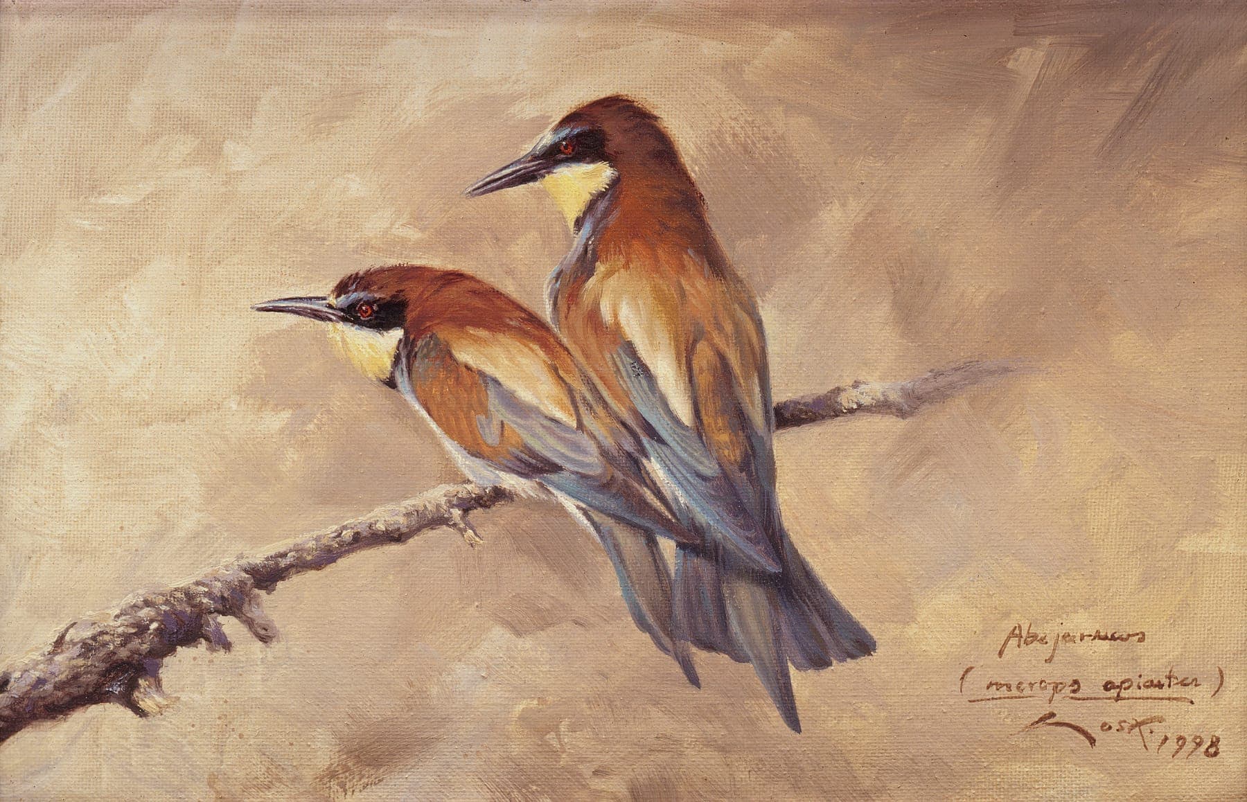 Bee eater (Merops apiaster) painting