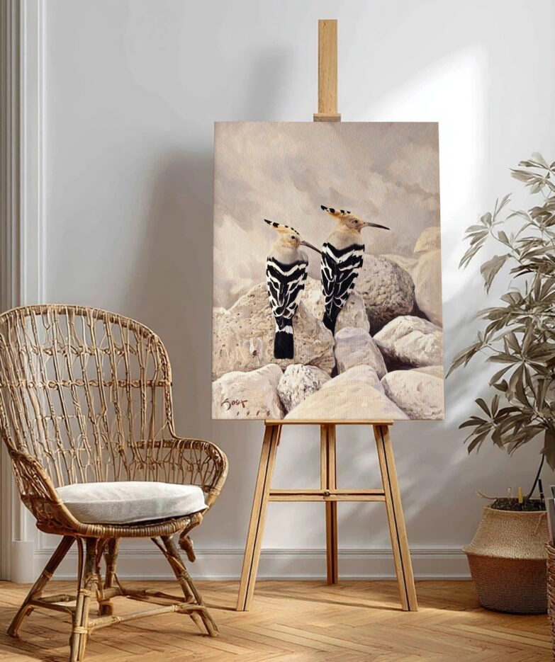 Abubillas – Bild 3