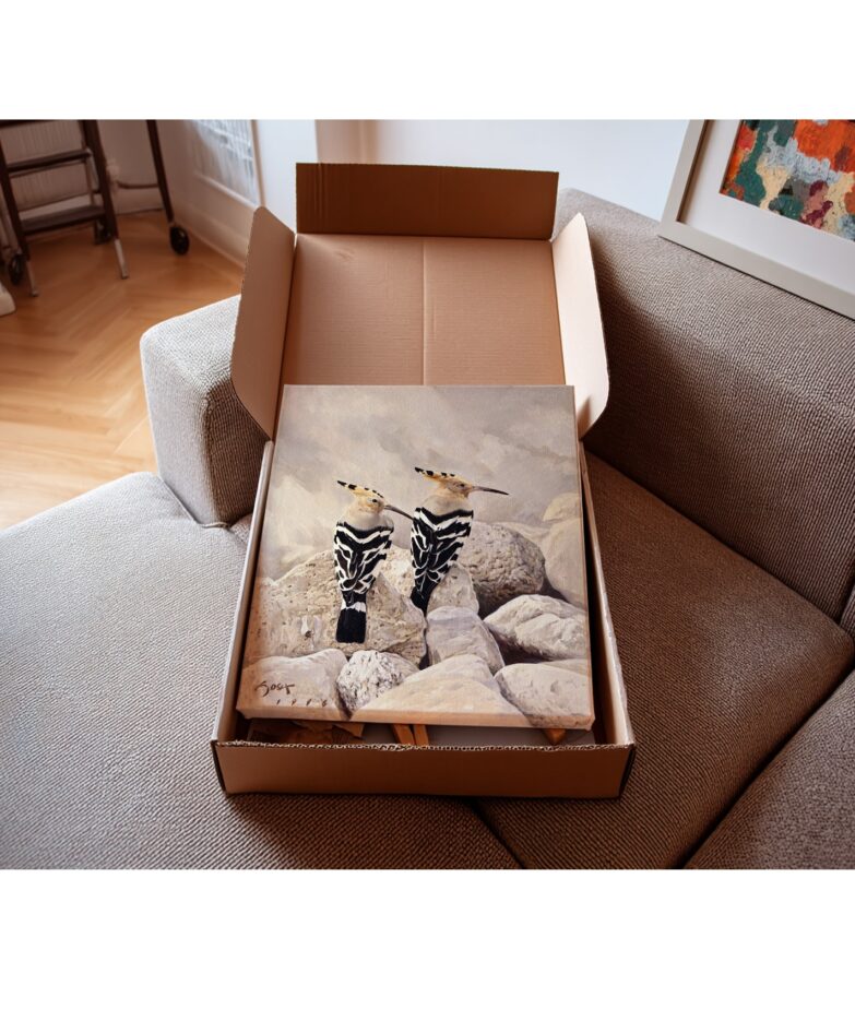 Abubillas – Bild 4