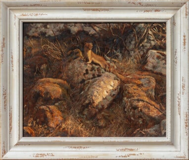 Pintura enmarcada de un armiño sobre una roca