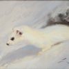 Ermine painting or Stoat painting