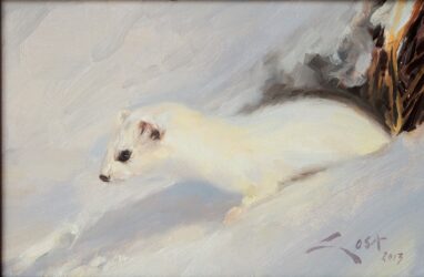 Armiño en invierno - pintura al óleo