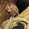 Eastern Screech Owl painting
