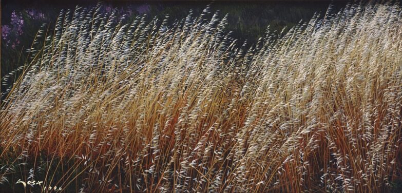 wild oat painting