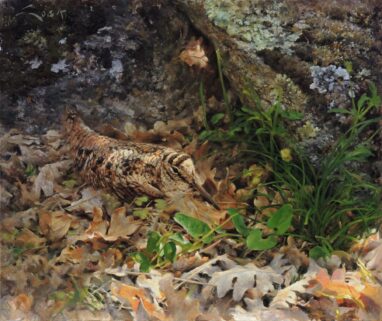 Gemälde einer Waldschnepfe inmitten von Laubstreu