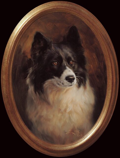 Retrato al óleo de un Border Collie