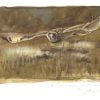 Short eared Owl painting
