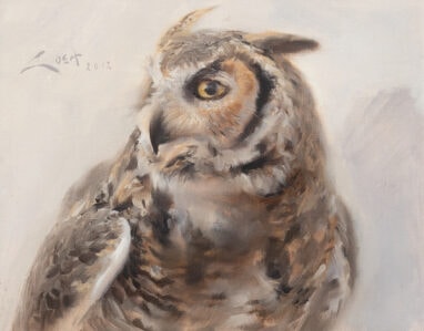 The largest of North America's owls, the great Virginian Owl.
