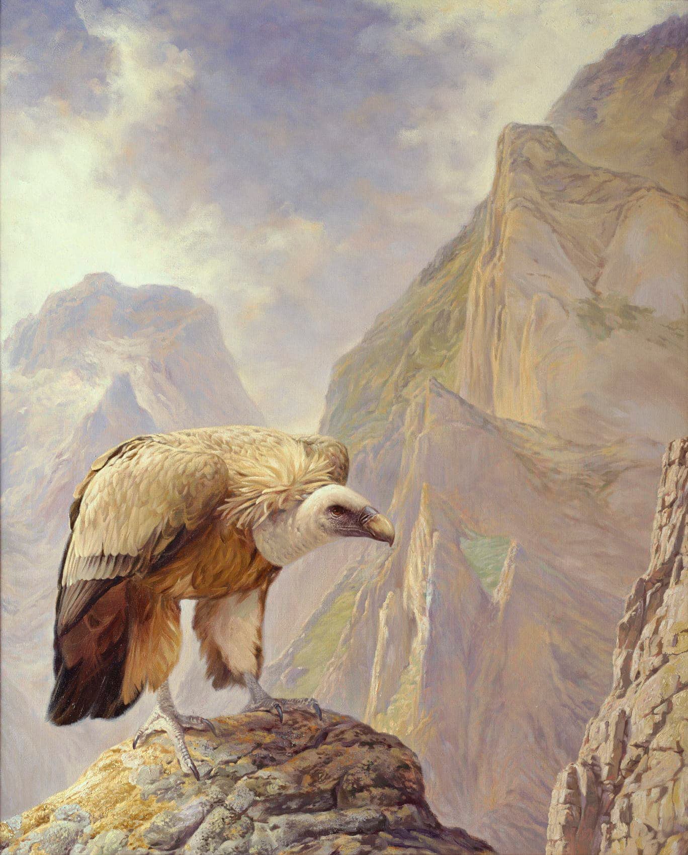 Griffon vulture painting