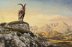 Spanish ibex painting