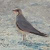Collared Pratincole painting