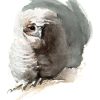 Tawny Owl painting