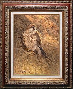 European Kestrel (Falco tinnunculus) painting