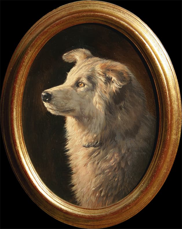 Dog portrait - oil painting