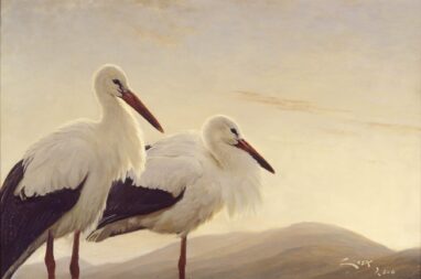 Cigueñas al atardecer - pintura de cigüeñas