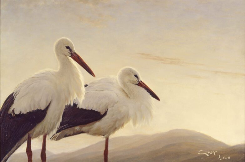 Cicogne al tramonto - pittura di cicogne