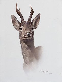 roe deer paintings - head i watercolor