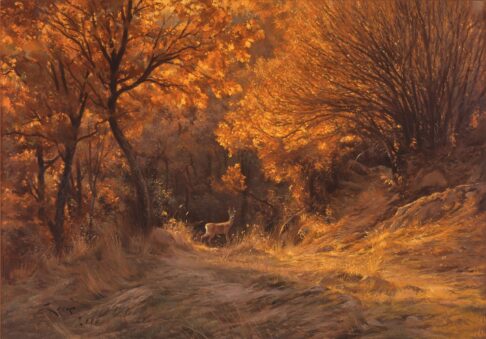 Veados a pastar entre carvalhos