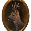 Roe deer painting of the head and antlers