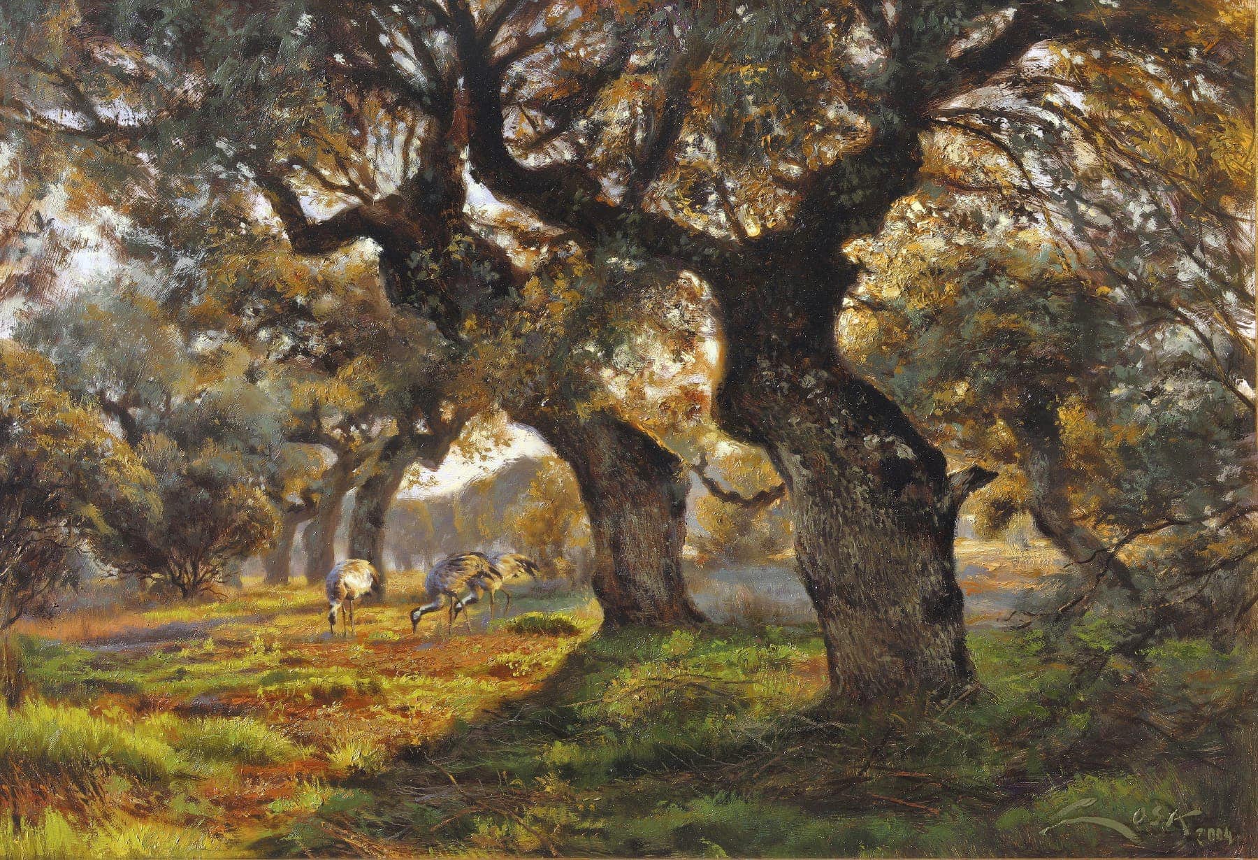 Cranes and Spanish Holm oaks picture