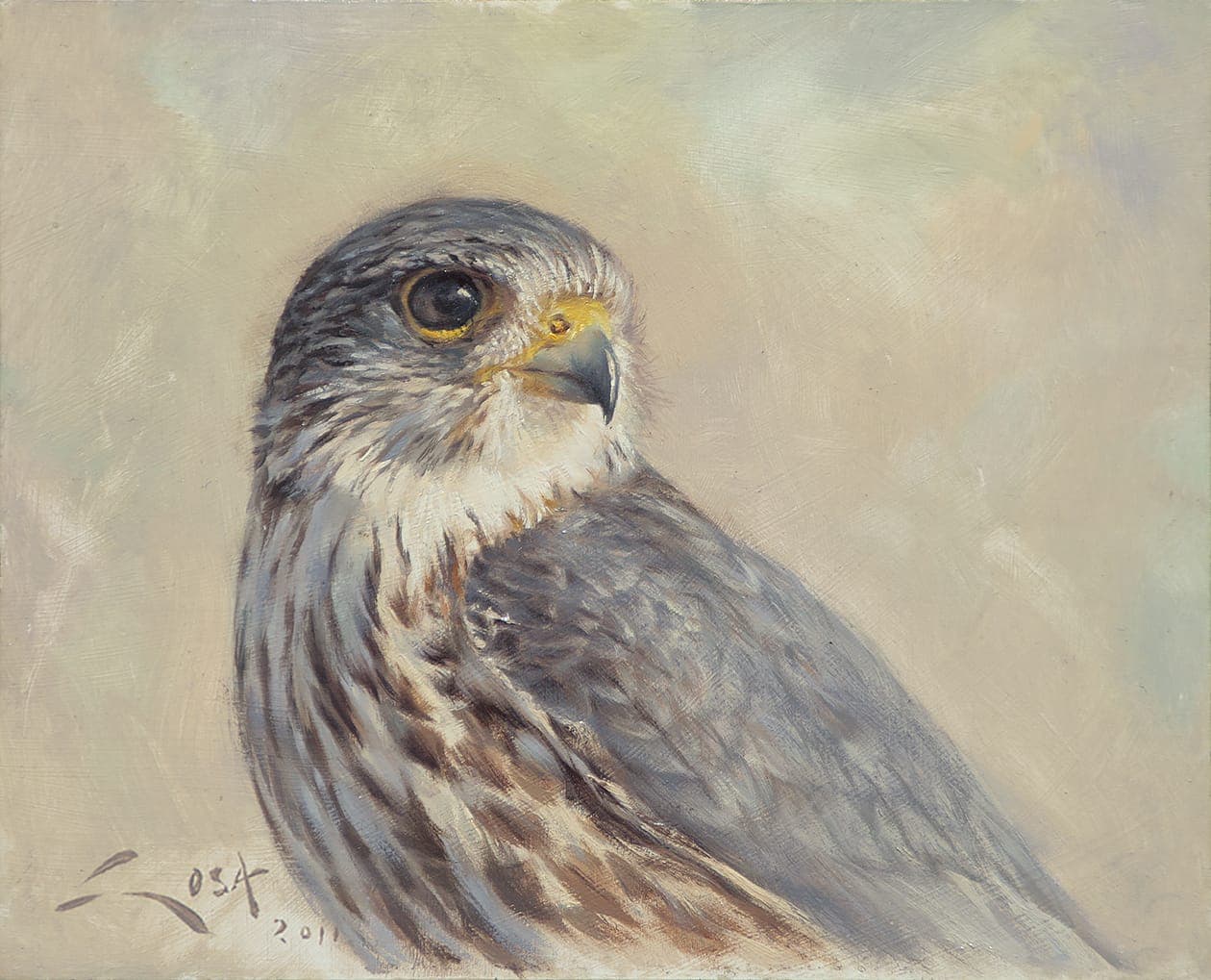 Merlin Gemälde (Falco columbarius)