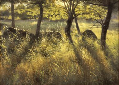 Frassini in controluce 2- pittura