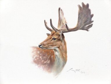 Gamo - cuadro de Manuel Sosa © 2018