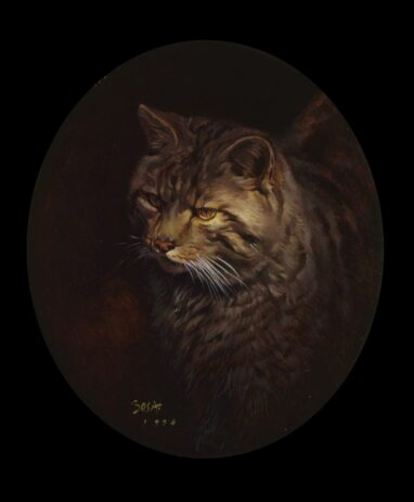 Gato montes - cuadro al oleo