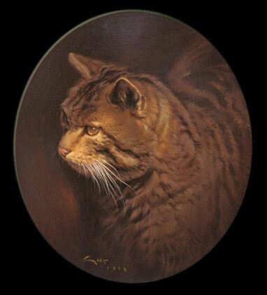 cuadro al oleo de un gato montés