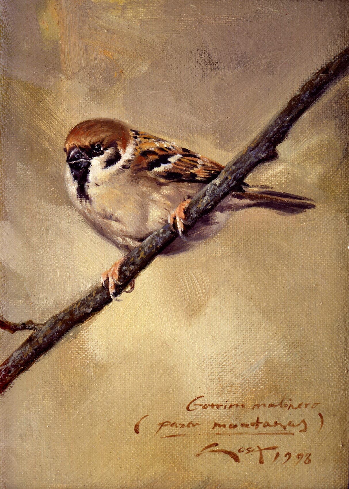 Tree Sparrow (Passer montanus) painting