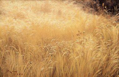Campos de gramíneas en verano parecen arder al ocaso del día. Oleo sobre tabla. Manuel Sosa © 1998