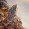 Great Horned Owl ( Bubo virginianus ) picture