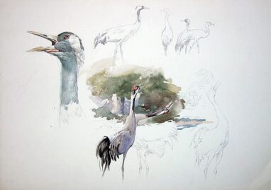 Grullas y Dehesa extremeña - cuadro, pinturas