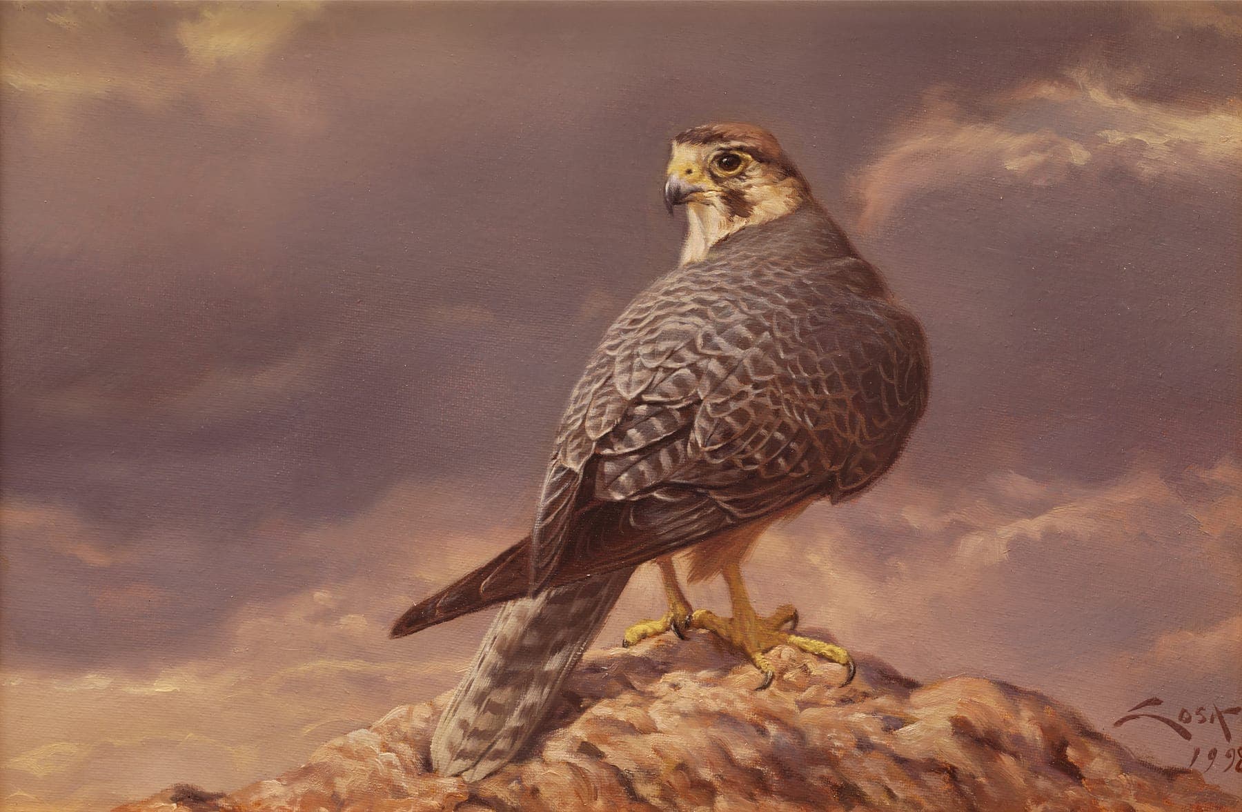 Lanner Falcon (Falco cherrug) oil painting