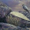 Peregrine Falcon painting