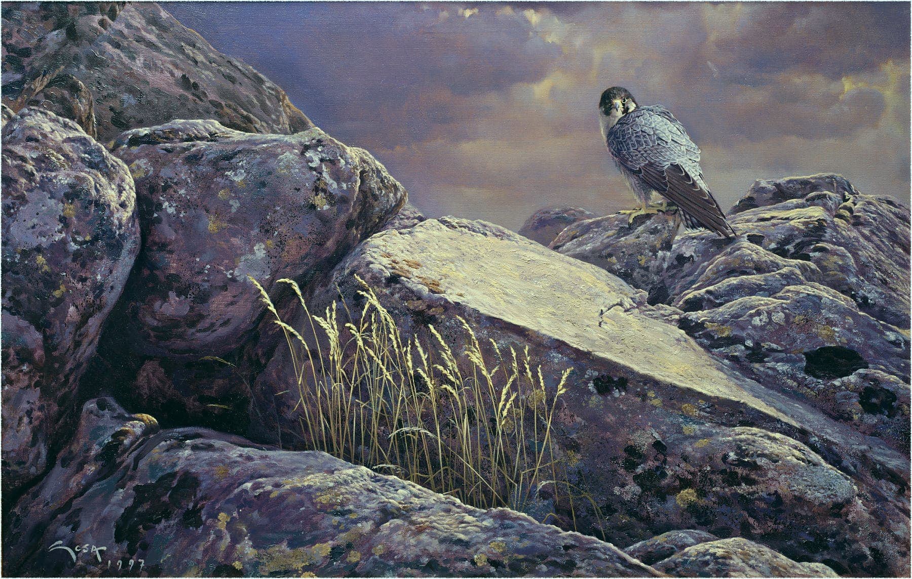 Peregrine falcon oil painting