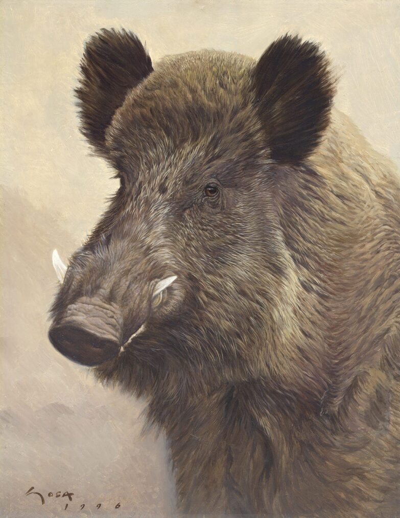 Wildschwein - Kopfgestell