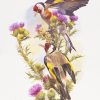 Goldfinches painting