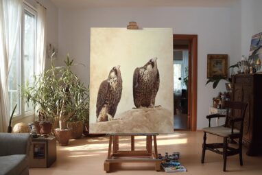 halcones de halcon peregrino - pinturas