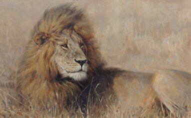 Pintura de un león del pintor Manuel Sosa