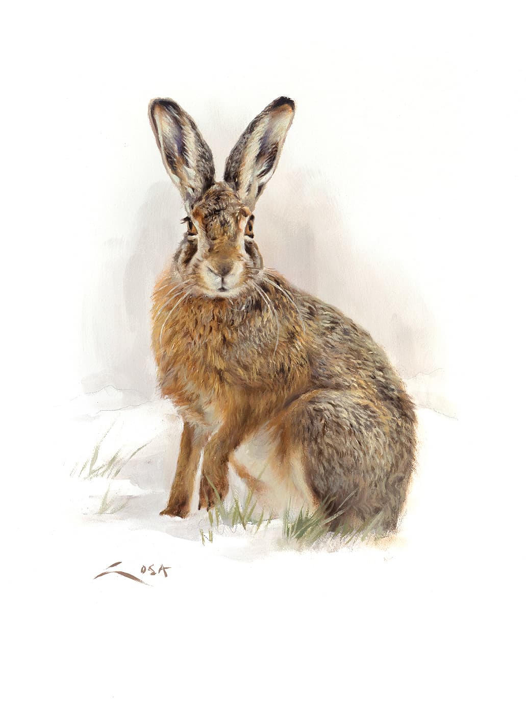 Hare painting in oil