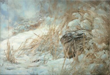 Liebre en la nieve - cuadro de liebre