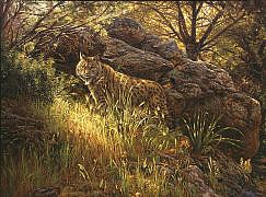 Painting of the Iberian Lynx painted by Manuel Sosa © 2010