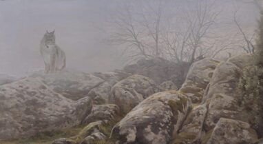 Lince en la niebla - pintura de lince