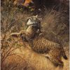 Lince y Perdiz roja. ( Lynx pardina ) & ( Alectoris rufa ) Cuadros de linces