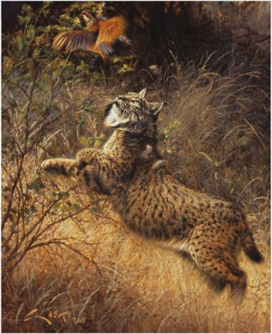 Lince ibérico y perdiz roja - pintura